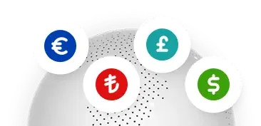 Multi-currency global payment interface